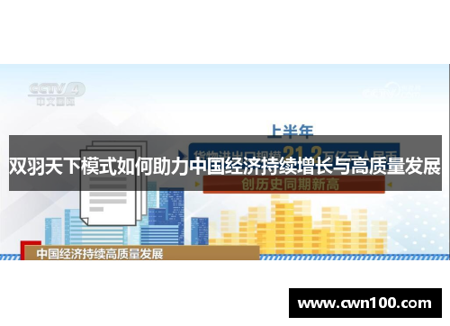 双羽天下模式如何助力中国经济持续增长与高质量发展