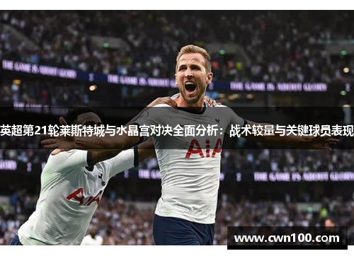 英超第21轮莱斯特城与水晶宫对决全面分析:战术较量与关键球员表现 英超第21轮莱斯特城与水晶宫对决全面分析:战术较量与关键球员表现